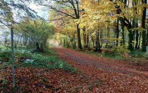 Changements notables sur deux randonnées du mois de Novembre