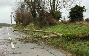 Changement de parcours pour la galette des rois