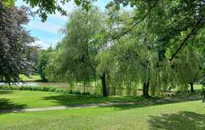 Rando le Bois de Chemasson (Saint Léonard-des-Bois)
