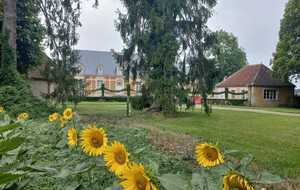 Rando Bellême et château du Tertre