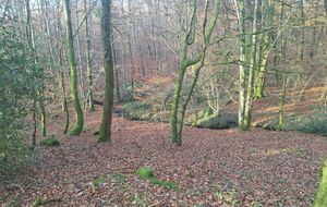 Rando Fontenai-les-Louvets