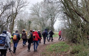 Changement de programme ! Rando Damigny et galette des rois