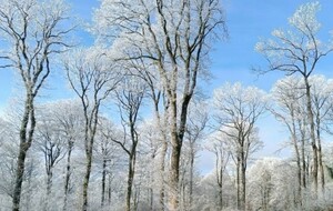 Rando forêt de Bourse
