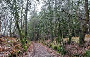 SAMEDI 23 MARS : Rando vallée du Merdereau - la Prisonnière