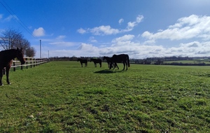 Rando Saint-Hilaire-la-Gérard
