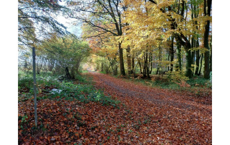 Changements notables sur deux randonnées du mois de Novembre